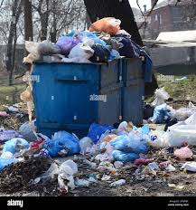 Professional Junk Removal Services in Scaggsville, MD